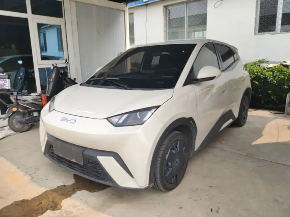 BYD Seagull Glory Edition 305km Vitality Edition 2024