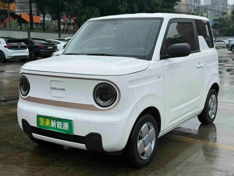 Geely Galaxy Panda Panda mini 200km Soaring Dragon Edition 2025