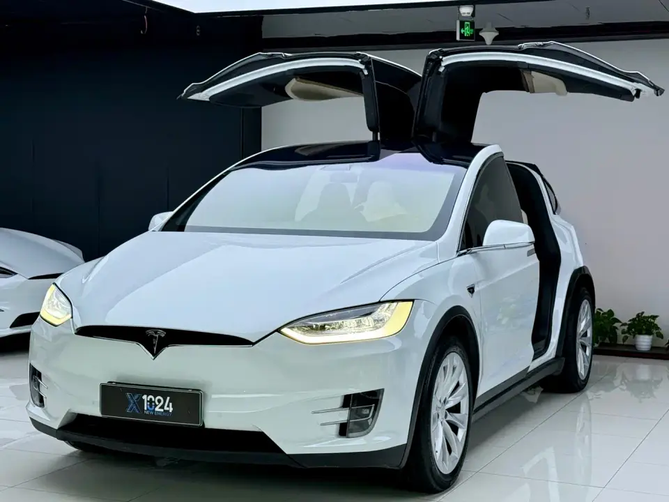 Tesla Model X Long Range Version 2019