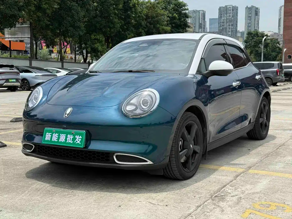 ORA Good Cat 501km Premium 2024