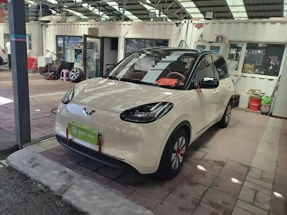Wuling Motors Wuling Bingo Model 333km Smart Connect 2025