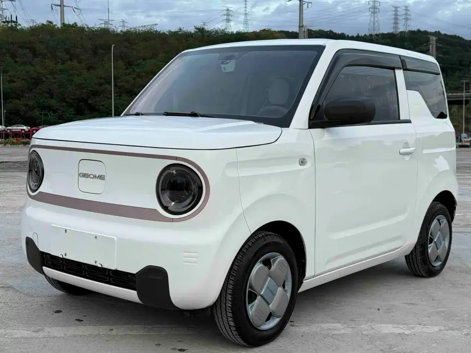 Geely Galaxy Panda Panda mini 200km Endurance Bear 2024