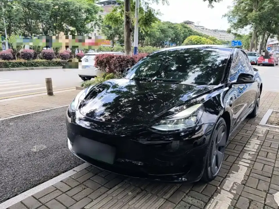 Tesla Model 3 Model Rear-Wheel Drive Version 2023