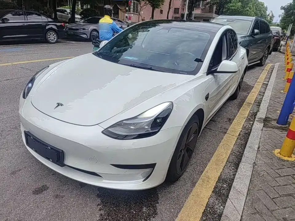 Tesla Model 3 Model Rear-Wheel Drive Version 2022