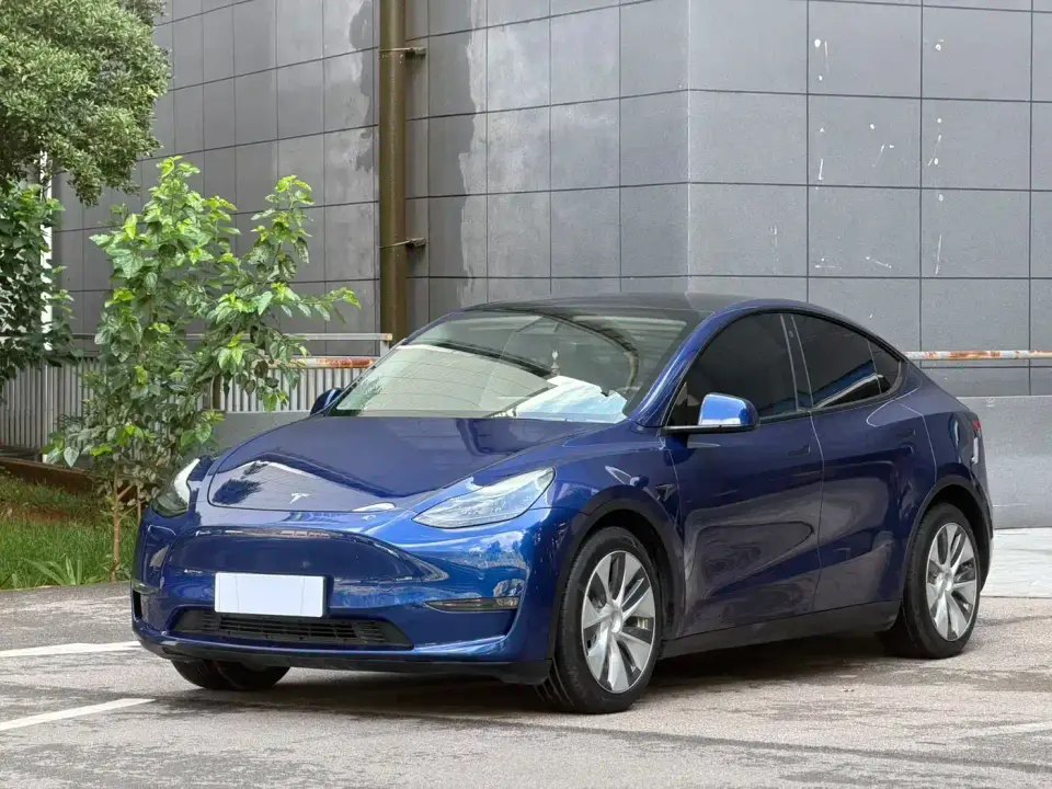 Tesla Model Y Standard Range Rear-Wheel Drive 2021