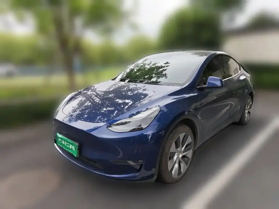 Tesla Model Y Model Long Range AWD 2021