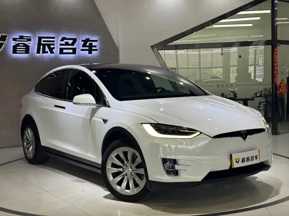 Tesla Model X Model X 75D 2019