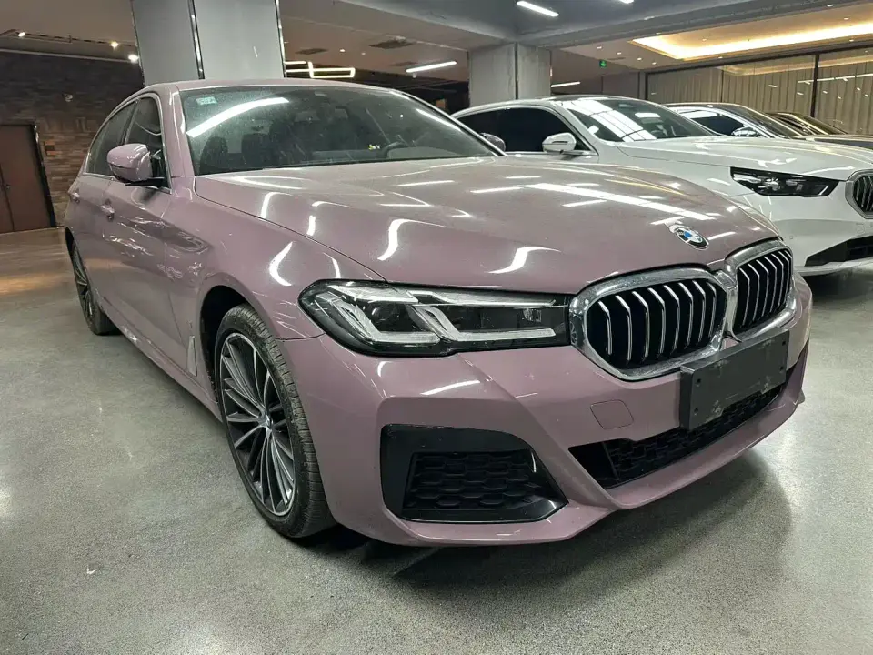 BMW 5 Series 530Li Leading M Sport Package 2020