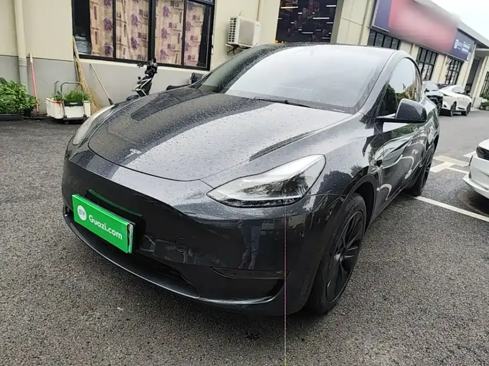 Tesla Model Y Long Range AWD 2024