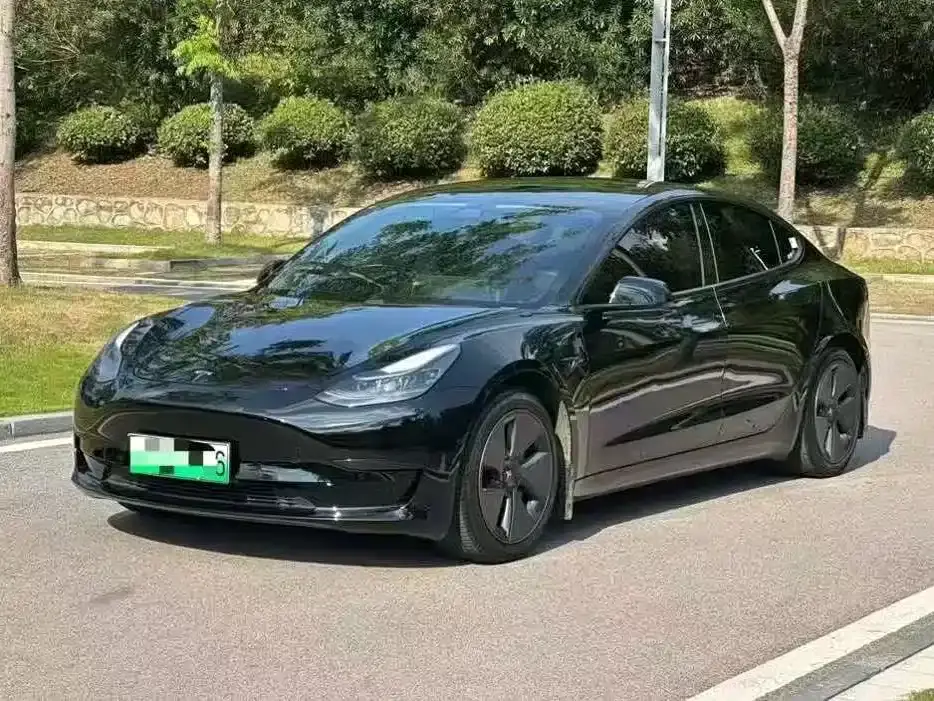 Tesla Model 3 Facelift Standard Range RWD Upgrade 3D1 2021