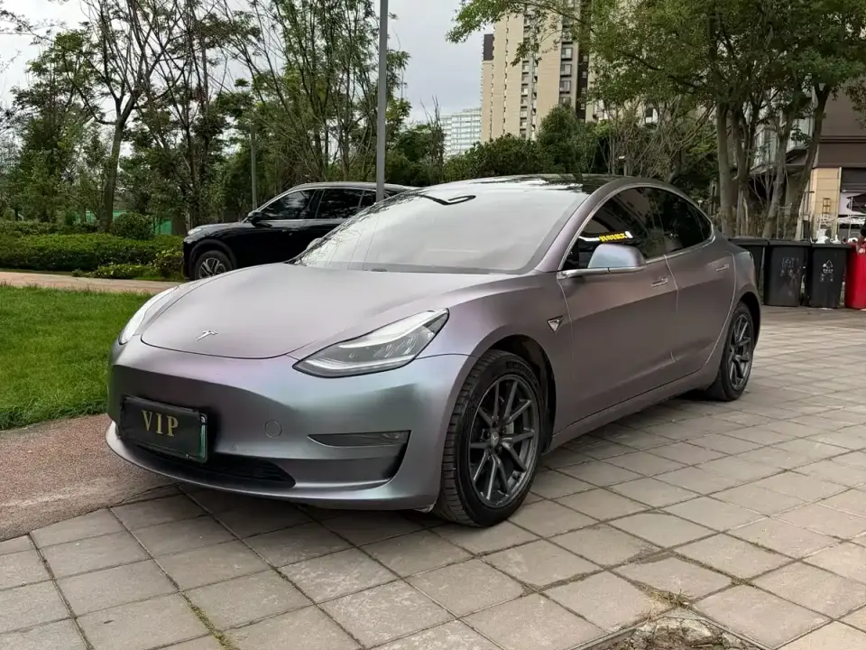 Tesla Model 3 (Import) Long Range RWD Version 2019