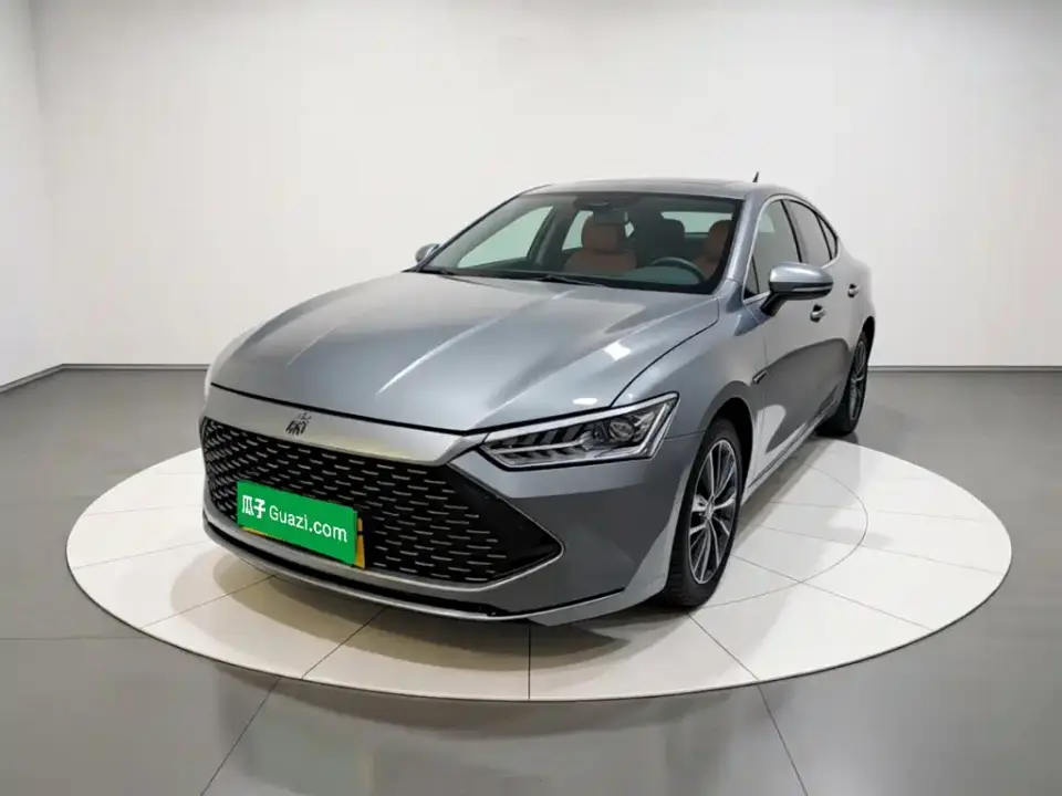 BYD Qin PLUS Champion Edition DM-i 120KM Surpassing Type 2024