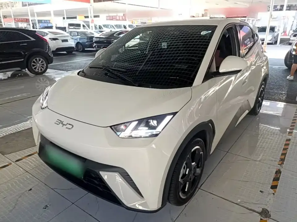 BYD Seagull Glory Edition 305km Freedom Edition 2024