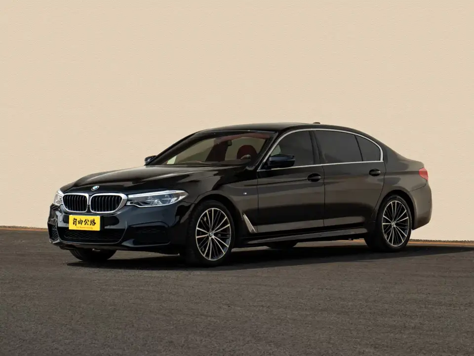 BMW 5 Series Model 530Li xDrive M Sport Package 2020