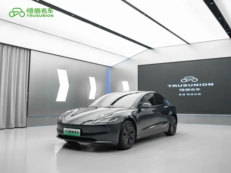 Tesla Model 3 Model Rear-Wheel Drive Edition 2025