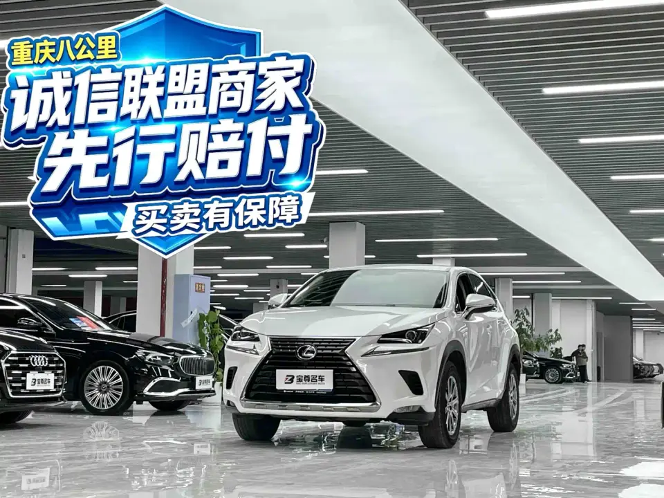 Lexus NX Model 200 FWD Fengxing Edition China V 2020