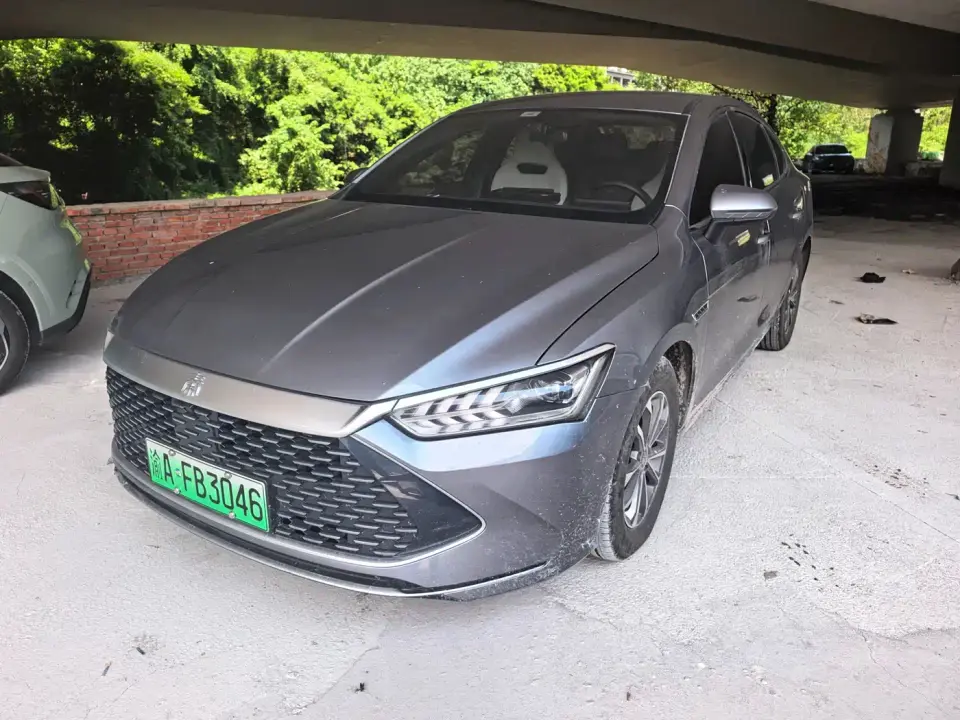 BYD Qin PLUS Glory Edition DM-i 55KM Leading 2024