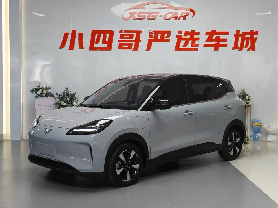 Wuling Motors Wuling Binguo PLUS 401km Flagship 4-Seater 2024