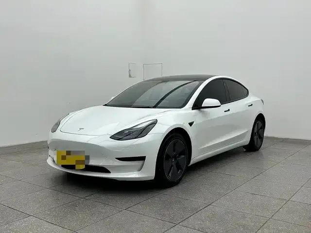 Tesla Model 3 Model Rear-Wheel Drive Version 2023