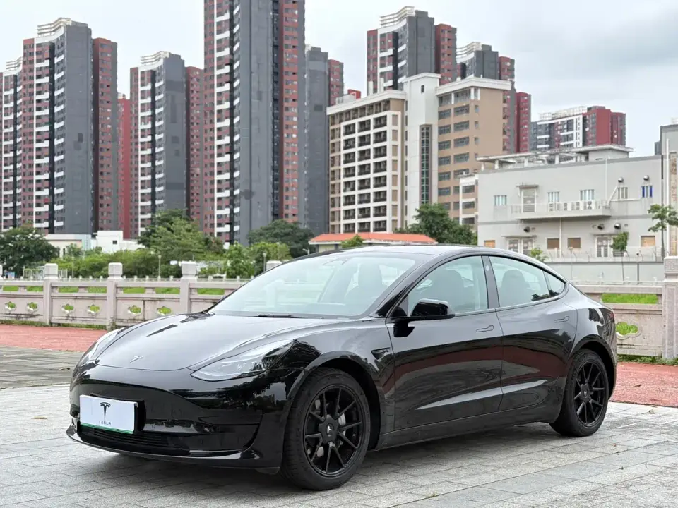 Tesla Model 3 Model Rear-Wheel Drive Version 2022