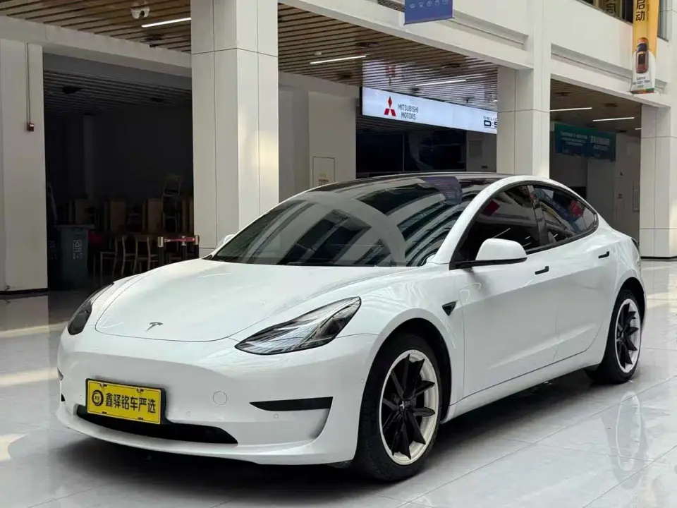 Tesla Model 3 Standard Range Rear-Wheel Drive Upgrade 3D6 2022
