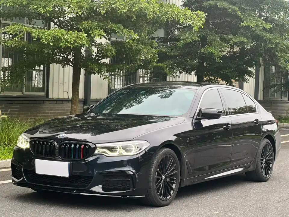 BMW 5 Series 530Li Leading M Sport Package 2020