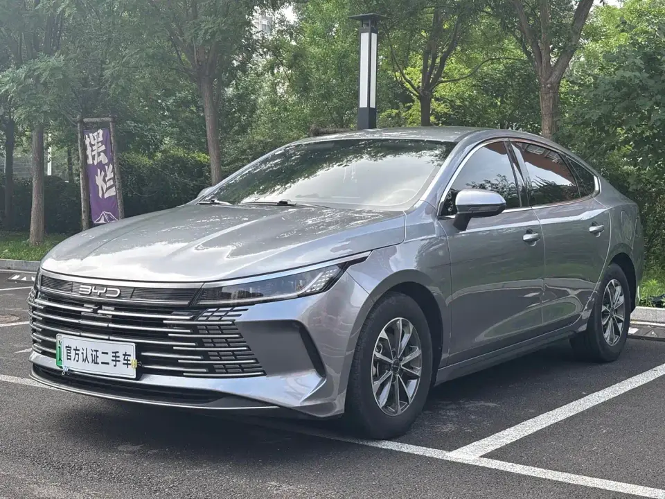 BYD Destroyer 05 Glory Edition DM-i 55KM Luxury 2024