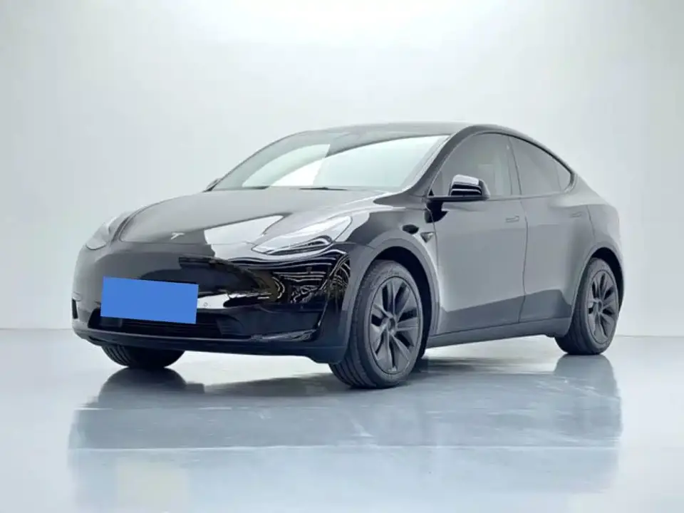 Tesla Model Y Rear-Wheel Drive Version 2024