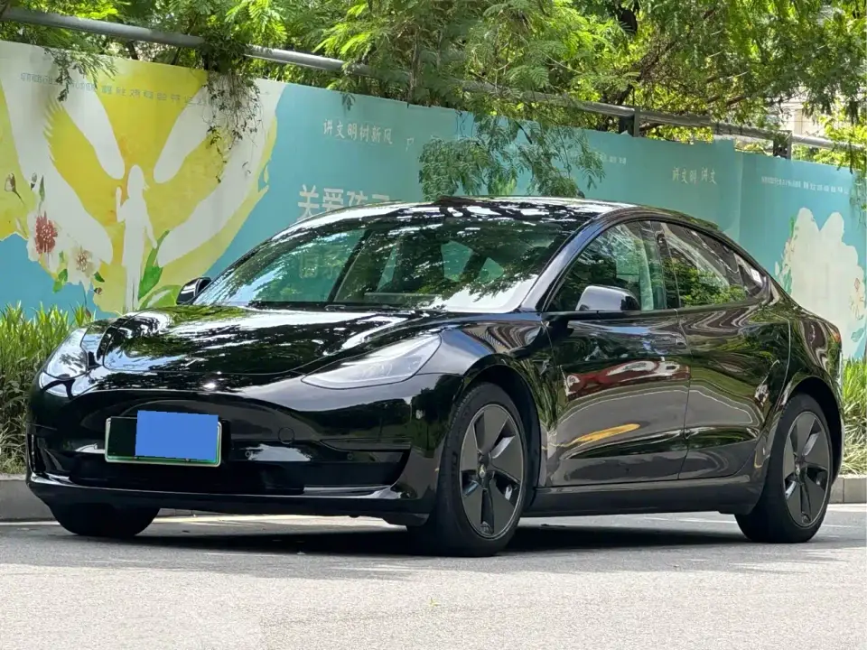 Tesla Model 3 Model Rear-Wheel Drive Version 2022