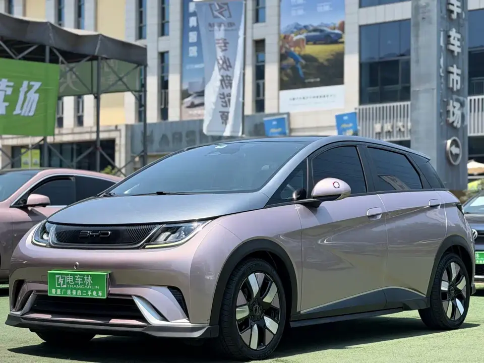 BYD Dolphin 401km Knight Edition 2021