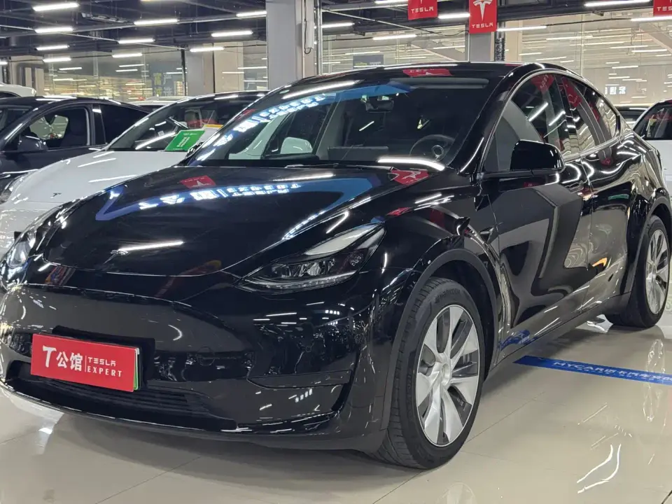 Tesla Model Y Rear-Wheel Drive Version 2022