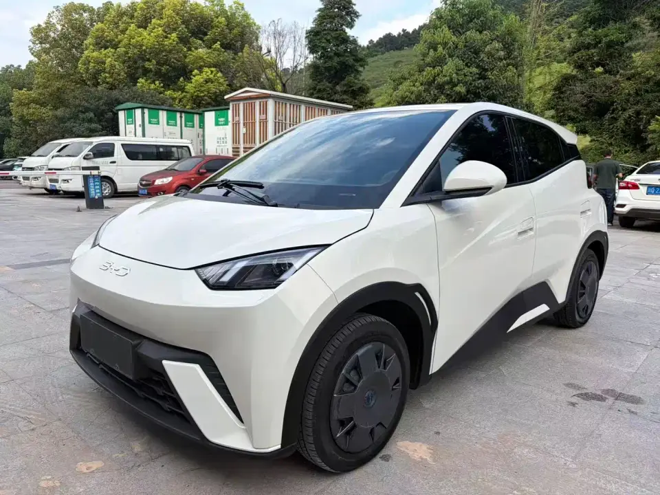 BYD Seagull Glory Edition 305km Vitality Edition 2024