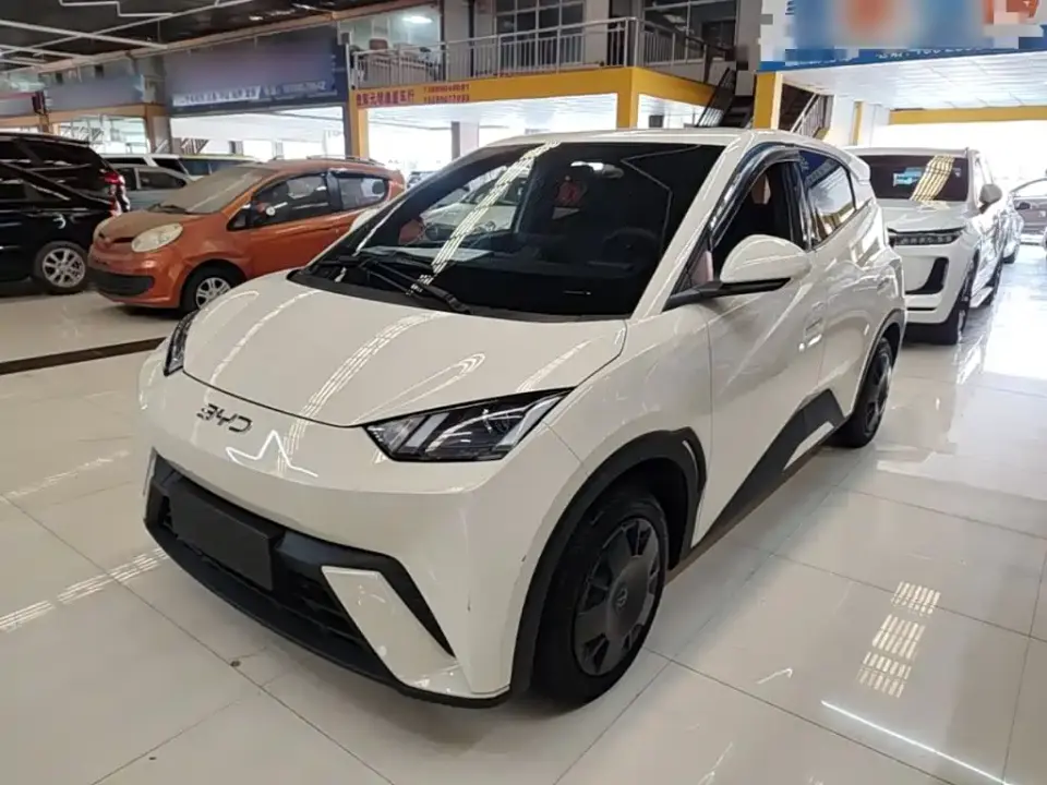 BYD Seagull Glory Edition 305km Vitality Edition 2024