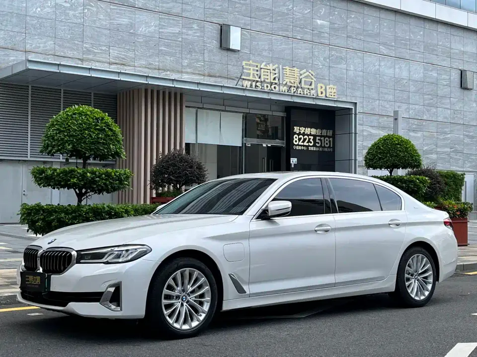 BMW 5 Series New Energy 535Le Luxury Package 2021