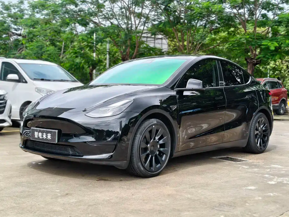 Tesla Model Y Rear-Wheel Drive Version 2022