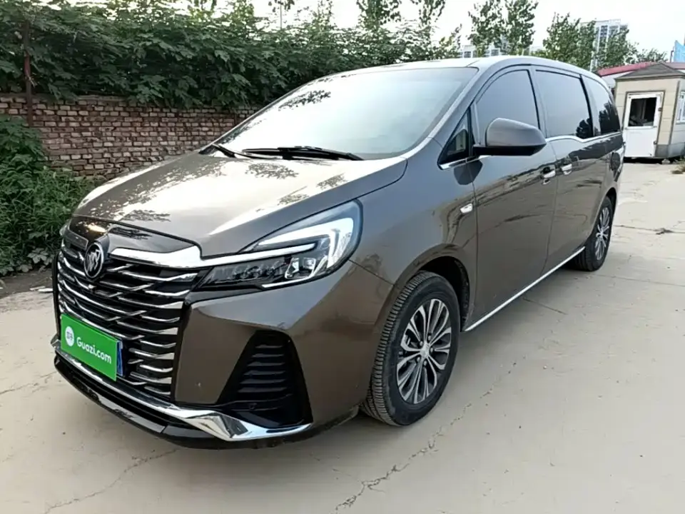 Buick GL8 Land Business Class Smart Premium 2024
