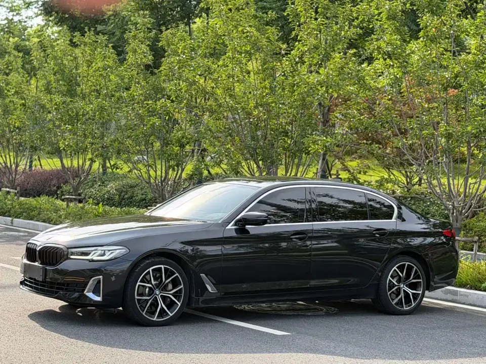 BMW 5 Series 530Li Premium Luxury Package 2021