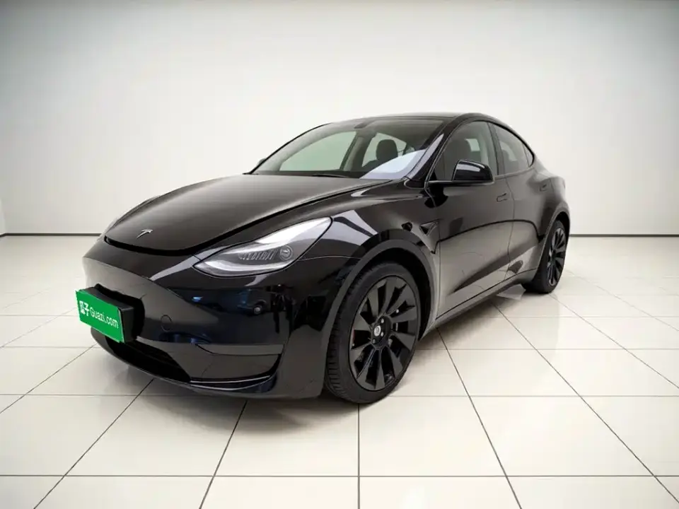 Tesla Model Y Standard Range Rear-Wheel Drive 2021