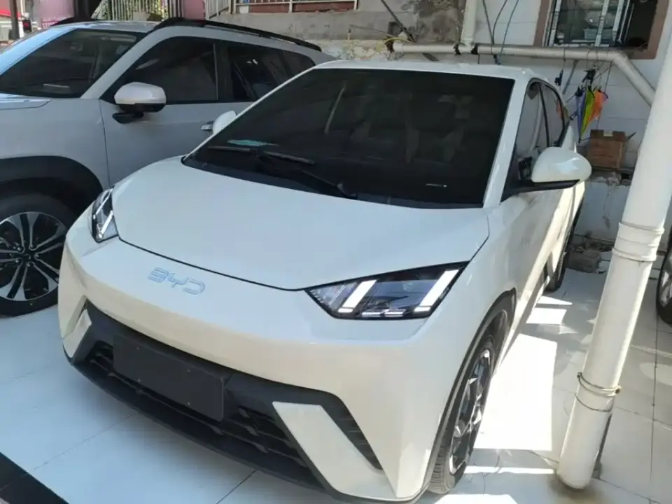 BYD Seagull Glory Edition 305km Freedom Edition 2024