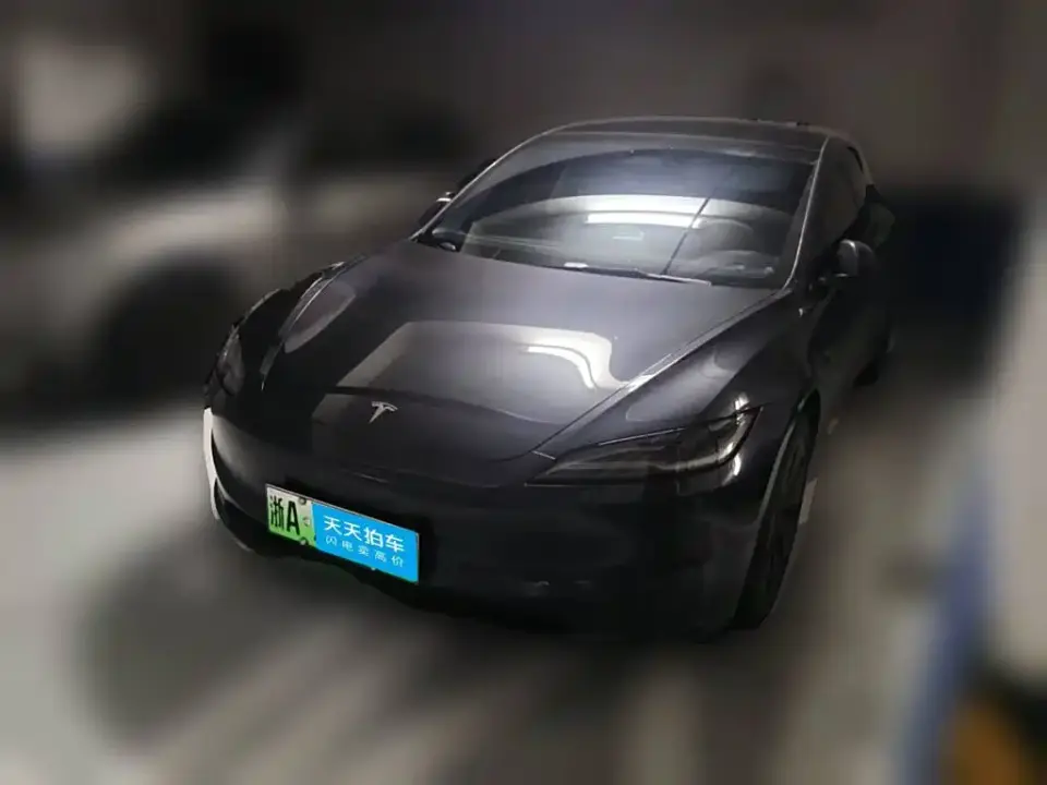 Tesla Model 3 Model Rear-Wheel Drive Edition 2025