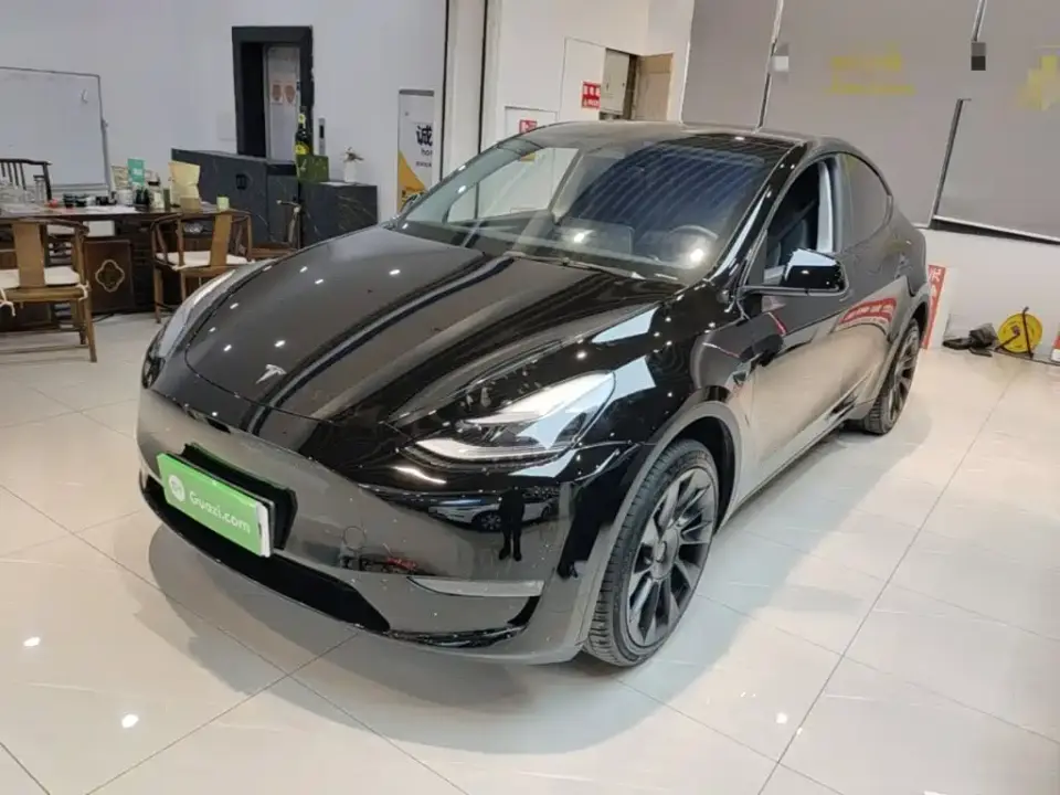 Tesla Model Y Long Range AWD 2024
