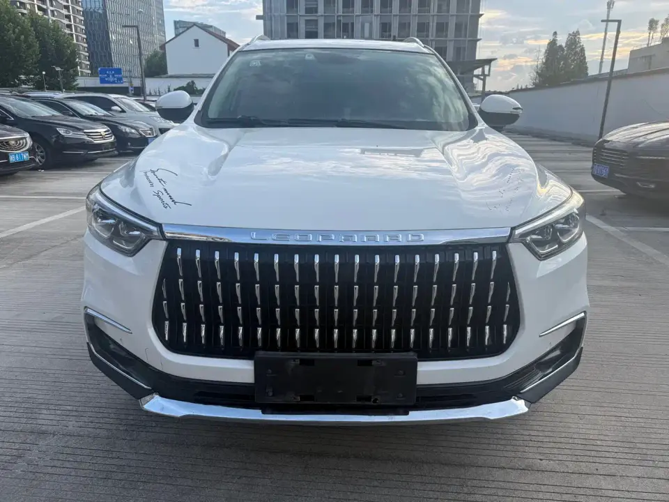 Leopaard Mattu 1.6T GDI DCT Premium Edition 2019
