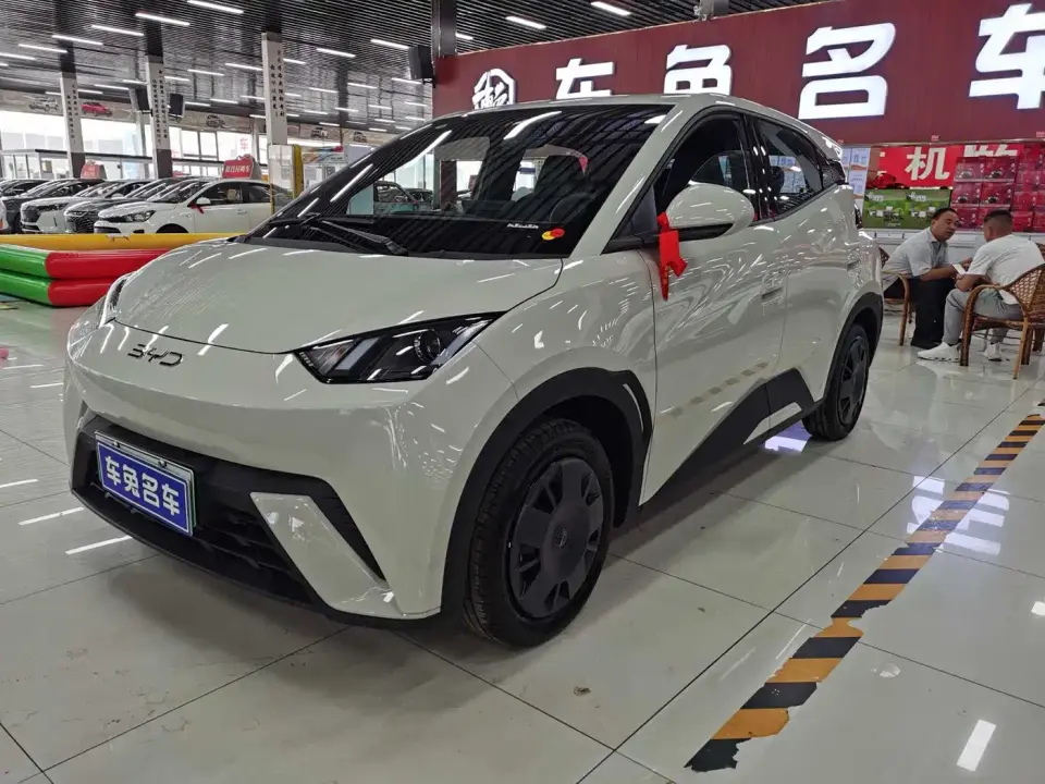 BYD Seagull Smart Drive Edition 305km Vitality Version 2026
