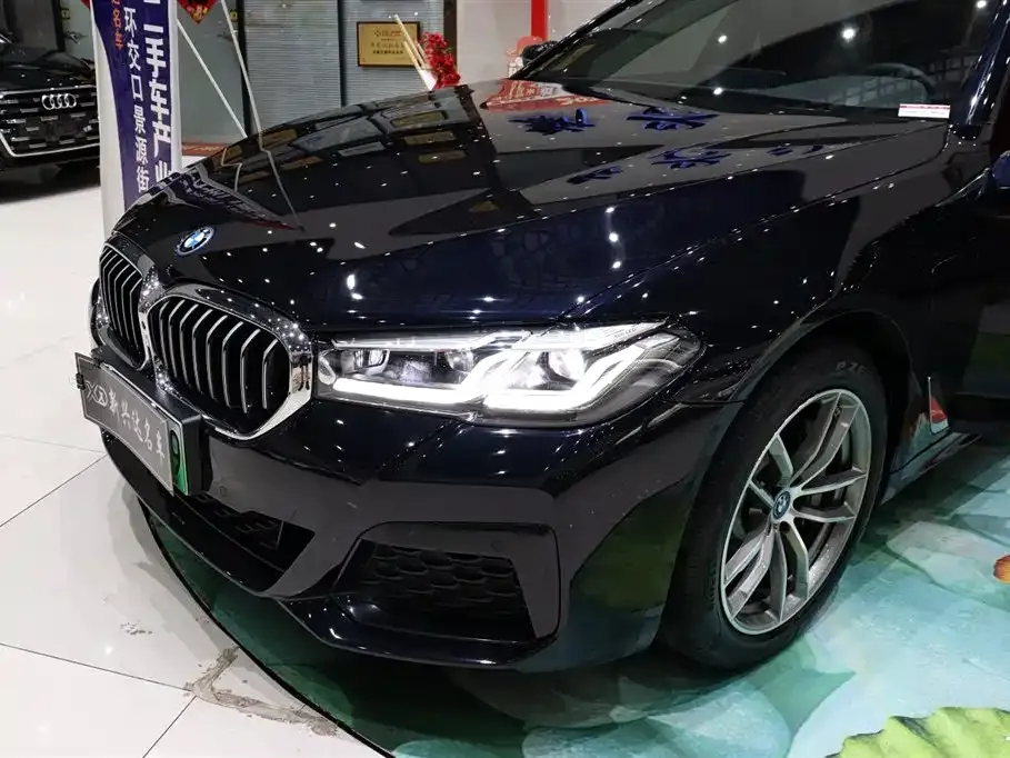 BMW 5 Series New Energy 535Le M Sport Package 2023 — фото 25
