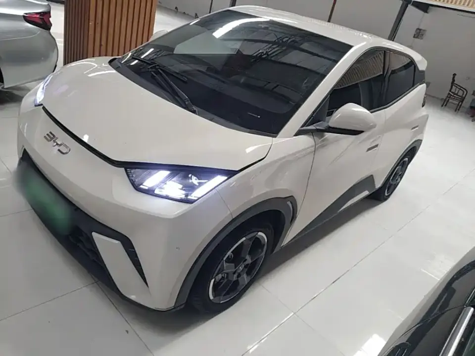 BYD Seagull Freedom Edition 2024