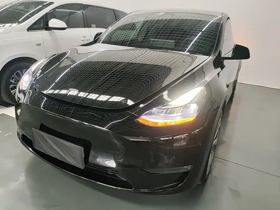 Tesla Model Y Standard Range Rear-Wheel Drive 2021