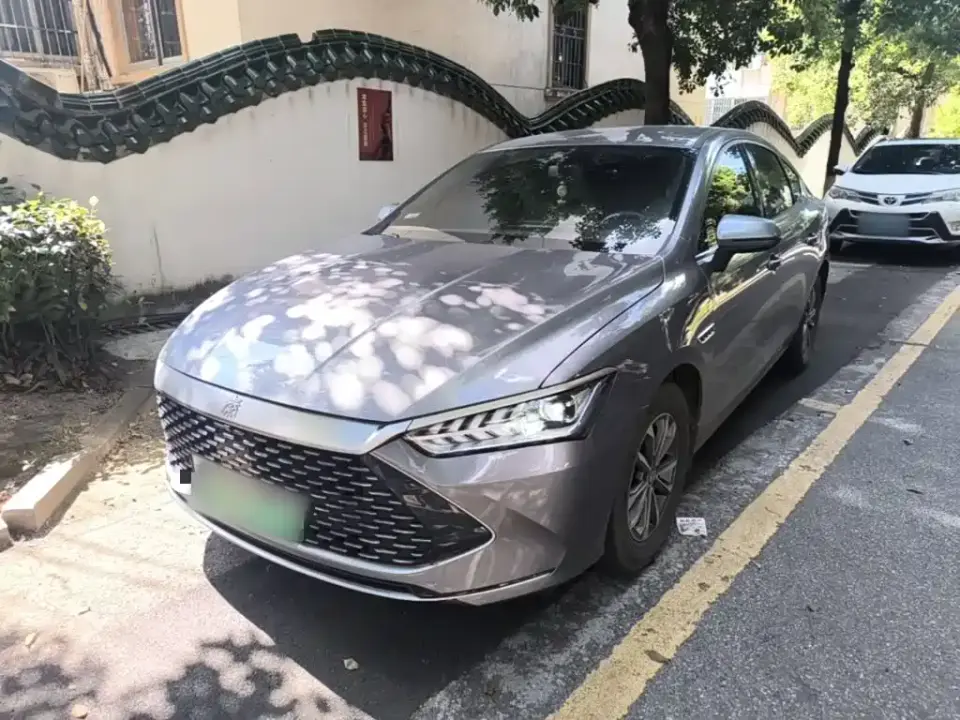 BYD Qin PLUS Glory Edition DM-i 55KM Leading 2024