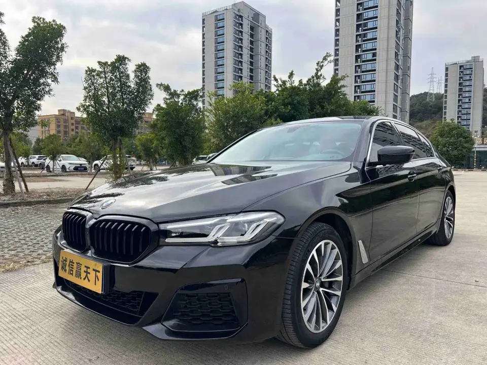 BMW 5 Series 530Li Leading Luxury Package 2019
