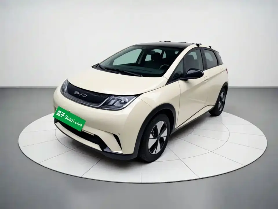 BYD Dolphin 420km Fashion Edition 2024