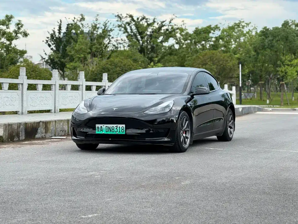 Tesla Model 3 Model Rear-Wheel Drive Version 2023